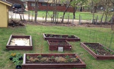 garden beds end of March2.jpg