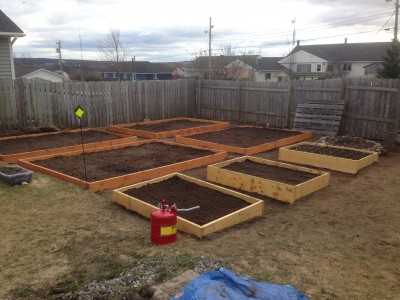A quick pic from 2015 after I removed the grass sods laid out the (4) 8 x 12, and (3) 4 x 6, and my mini rock garden for strawberries