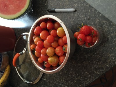 bowl of cherry tomatoes from the greenhouse last year.