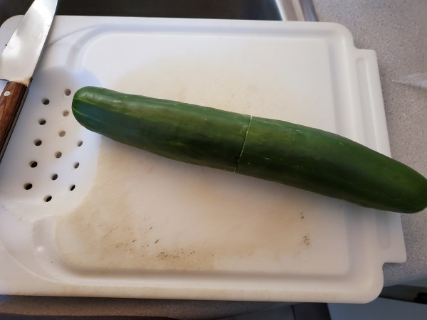 cucumber 13.5 inches long 660 gms picked 1/21/22. I cut it before I remembered to take a picture.