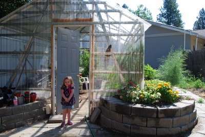 Greenhouse 8 small.jpg