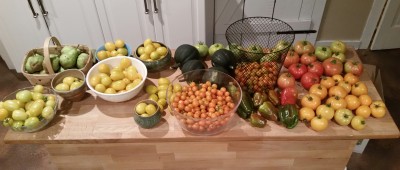 20150810_201458-1.jpg