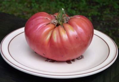 tomato2014.jpg