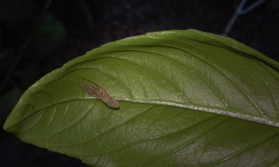 20150729_074620.jpg