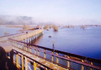 The new Nisqually Boardwalk. Photo by Tomas.