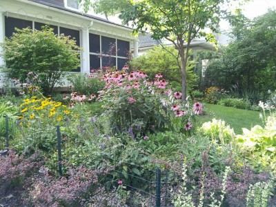 front yard2015.jpg