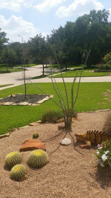 20150922_133010_resized.jpg
