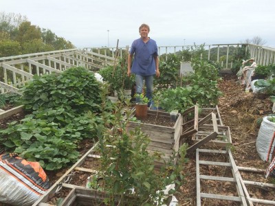 rooftop garden.jpg