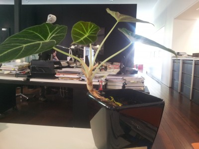 20151006_143337.jpg