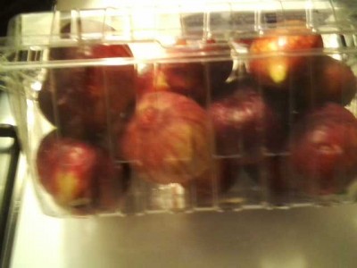 Figs 8=11=15 in container.jpg