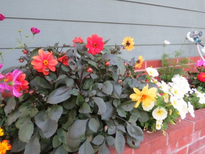 IMG_3856.JPG