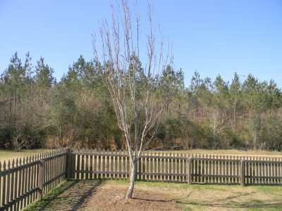 DSCN5040.JPG