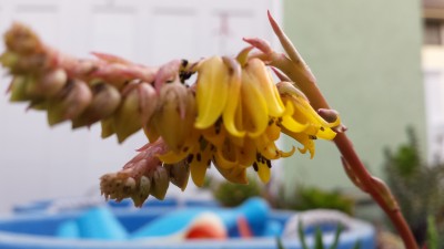 20160127_164716.jpg