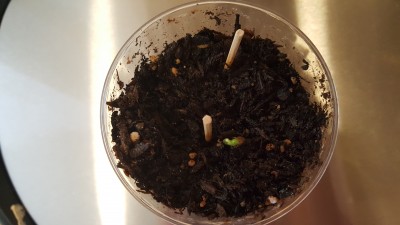 Second photo.