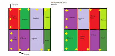 Garden layout 2015.png