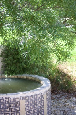 Water and tree