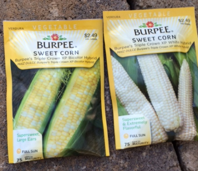 Burpee Triple Crown-XP sweet corn