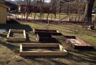 raised beds2.jpg