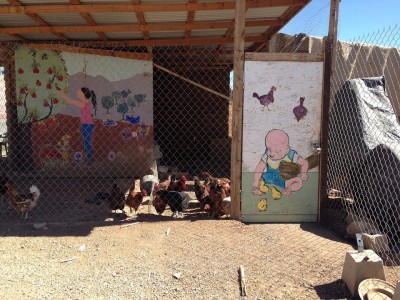 DPT chicken coop.jpg