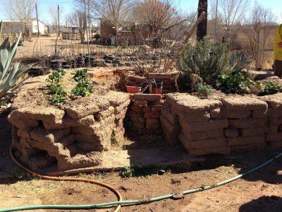 DPT keyhole garden.jpg