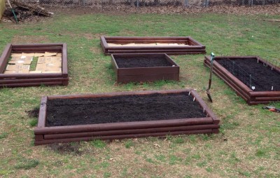 garden beds planted.jpg