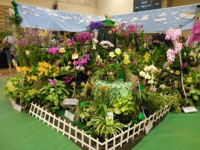 Kunia Orchid Society display