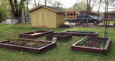 garden beds end of March.jpg