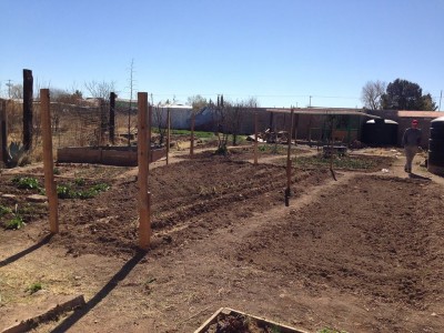 DPT community garden.jpg