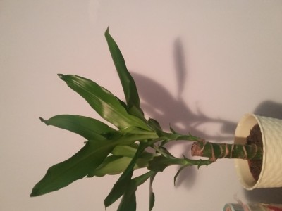 20160412_122029.jpg