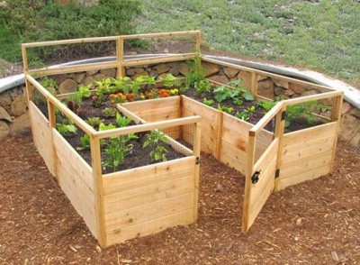 raised bed.jpg