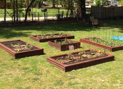 raised beds April 2016.jpg