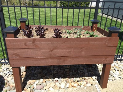 raised bed 1.jpg