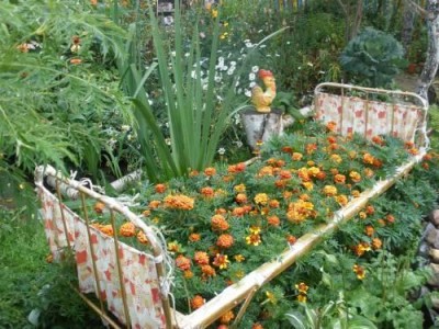 garden bed.jpg