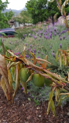 20160507_162532.jpg