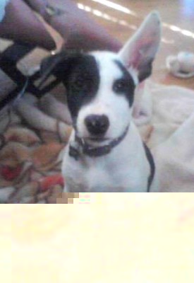 This is him when I was getting onto him for doing that.