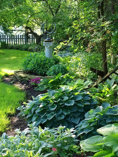 fence line planting 2.jpg