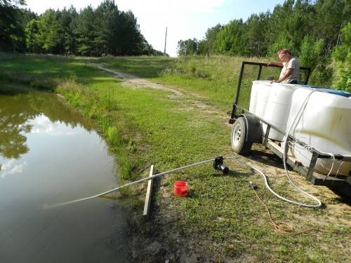 red neck water.jpg