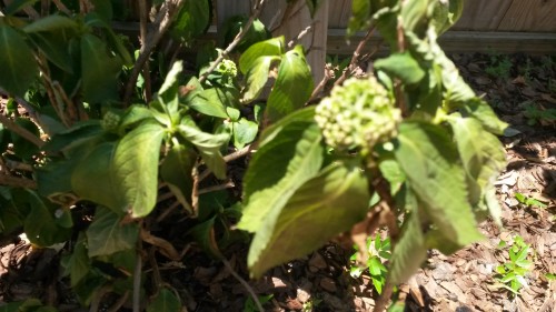 20160612_134352.jpg