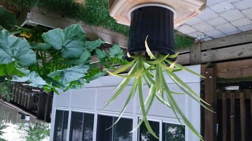 20160615_202112.jpg
