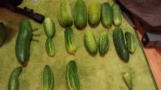 20160802_214550-320x180.jpg
