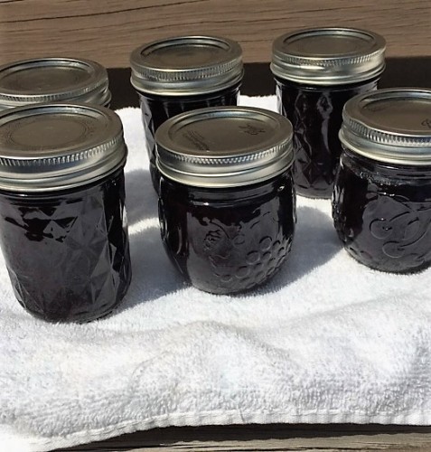 bberryjam0805.JPG