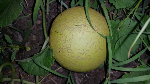20160826_201125.jpg