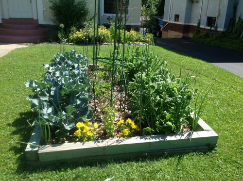 front yard bed.jpg