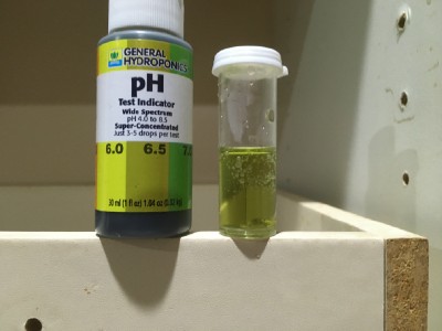 Tap water PH was a dark 7...almost 8. Picture is after PH down was added. I will add more tomorrow. Looked closer to 6 under the flourescent lights.