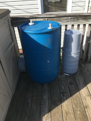 55 gal drum for Rain Barrel and 5 gal buckets for plants