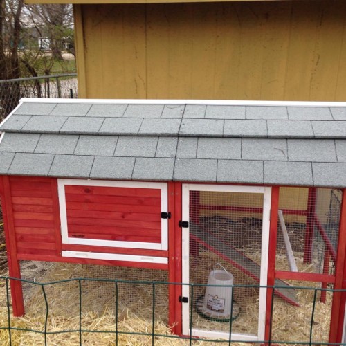 chicken coop.jpg