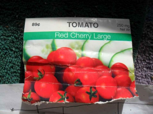 red cherry.JPG