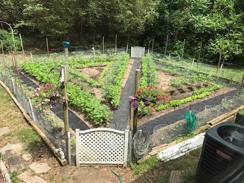 Garden 2017 - 009.JPG