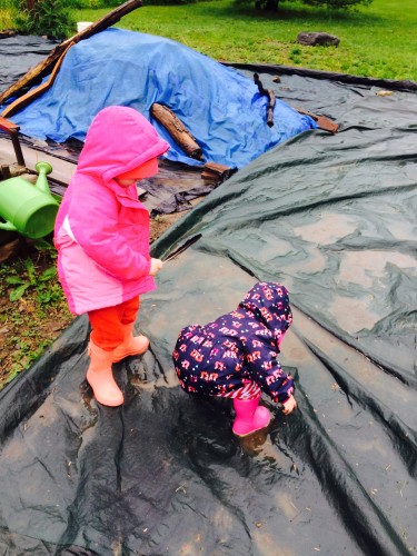 Chitlins playing in the puddles