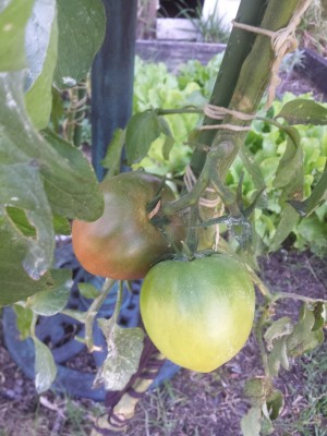 20131023_162848.jpg